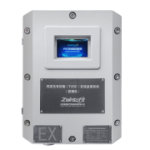 ZWIN-PVOC06揮發(fā)性有機(jī)物在線監(jiān)測系統(tǒng)（防爆型）