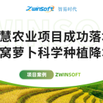 智易時代智慧農業項目成功落地，助力沙窩蘿卜科學種植降本增效！